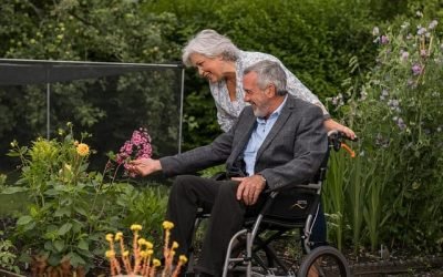 The Transition to Retirement: 11 Exceptional Tips for the Average Joe or Jane